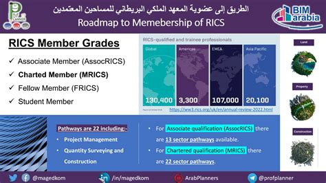rics sector pathways