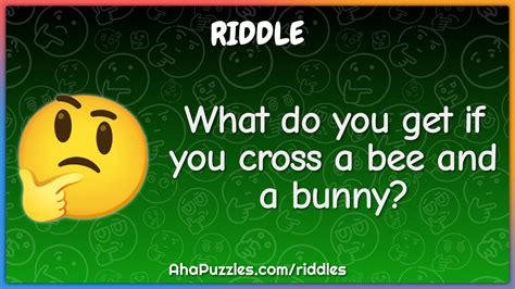 Riddle For Bunny