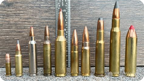 Rifle Bullet Length