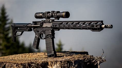 Rifle For Self Defense And Hunting