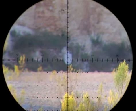 Rifle Scope Is Blurry