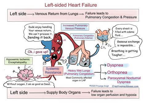 Understanding Right vs Left Heart Failure: Key Differences Explained