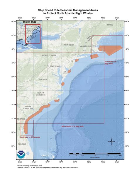 right whale seasonal management areas