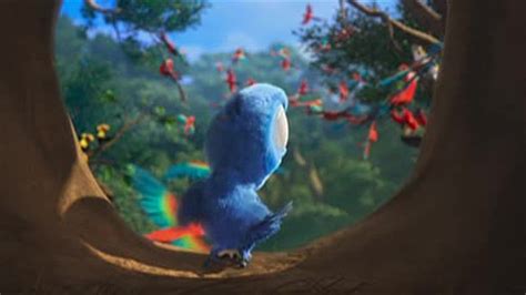 Incredible Rio 2011 Dubbing Pl Ideas