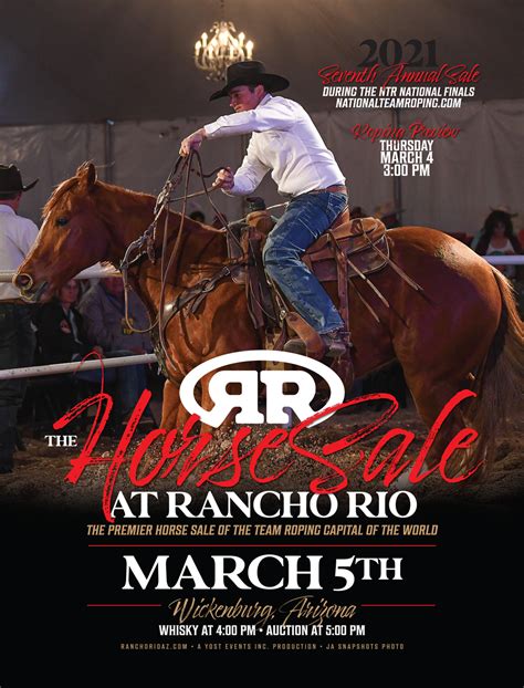 rio rancho horse sale live auction
