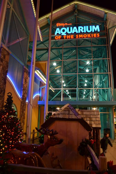 ripley's aquarium of the smokies aaa discount
