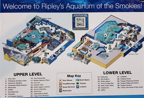 ripley's aquarium of the smokies map