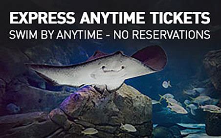 ripley's aquarium tickets costco