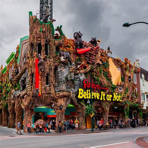 ripley's believe it or not wiki