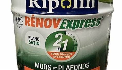 Ripolin Renov Express Sous Couche Peinture D'occasion En Belgique (57 Annonces)