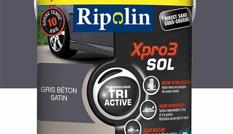 Ripolin Xpro3 Sol Gris Beton Peinture Extérieur / Intérieur Xpro 3 RIPOLIN,