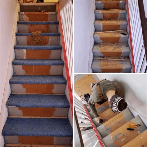 www.enter-tm.com:ripped out carpet on stairs and have plywood treads