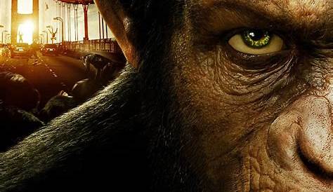 Rise Of The Planet Of The Apes Movie Poster (2011) s —