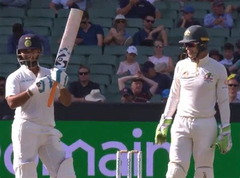 rishabh pant accidentally trolls tim paine