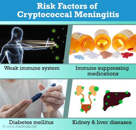 risk factors of cryptococcal meningitis
