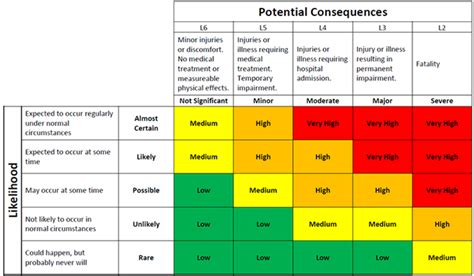 risk matrix example