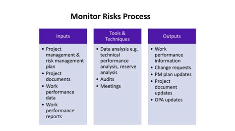 Risk Monitoring and Review