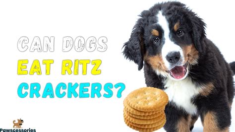 Ritz Crackers Dogs