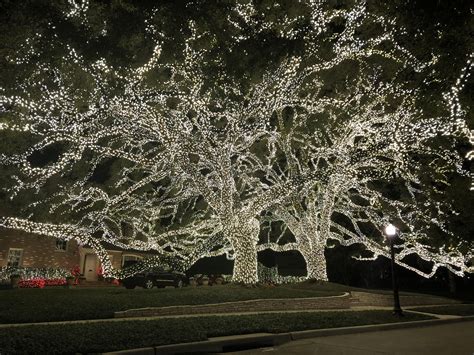 River Oaks Christmas Lights: A Spectacular Holiday Tradition