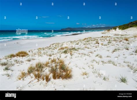 La meravigliosa Spiaggia di Riverire: Goditi il Mare e la Bellezza Naturale