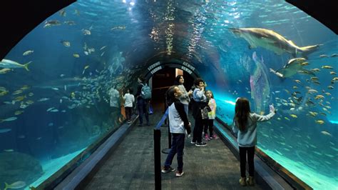 riverlink ferry to adventure aquarium