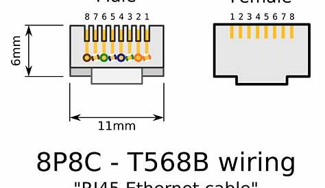 Rj45 Female Connector Wiring Diagram Pinout Details PCB Designs