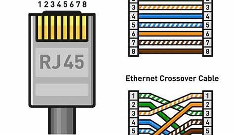 Rj45 Male Connector Color Code Hardware Tech RJ45