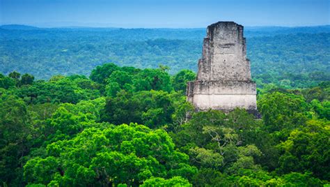 rma reserva de la biosfera maya