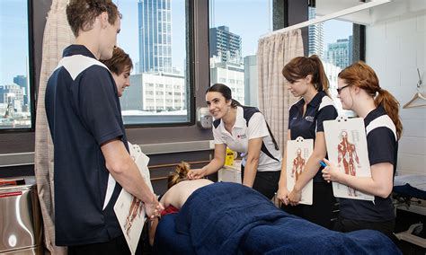 rmit occupational therapy