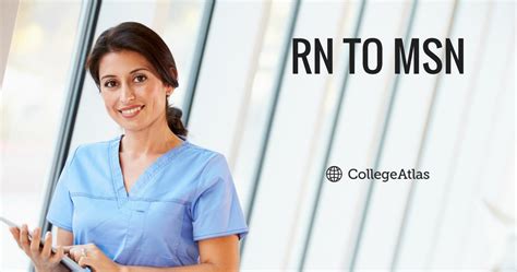 rn to msn online degrees