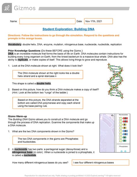th?q=rna%20and%20protein%20synthesis%20answer%20key%20chapter%2013 - Rna And Protein Synthesis Answer Key Chapter 13: Exploring The Basics