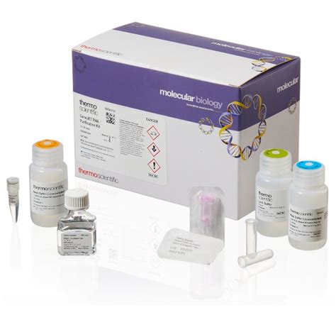 Rna Extraction Kit Thermo