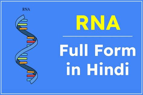 rna full form in hindi