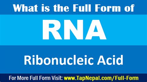 rna full form pronunciation