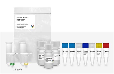 Rna Protein Extraction Kit