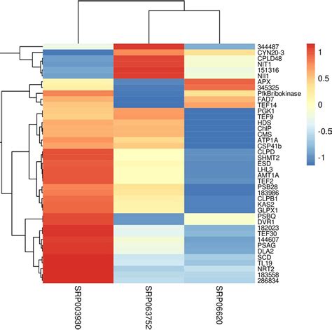 rna seq meta analysis