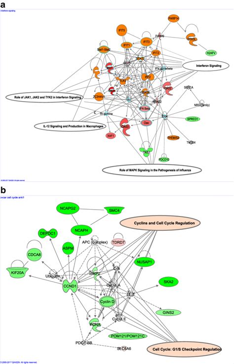 rna seq network analysis