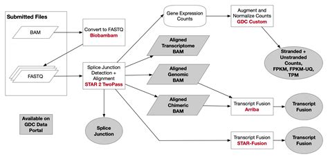 Rna Seq Pipeline Example