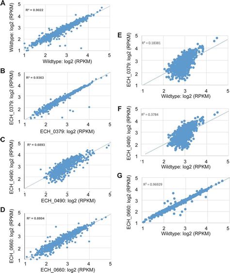 rna seq scatter plot