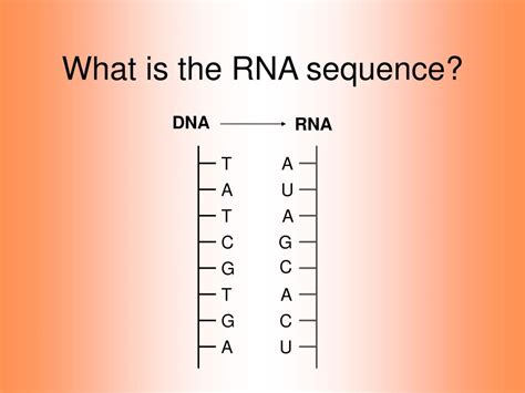 Rna Sequence Example