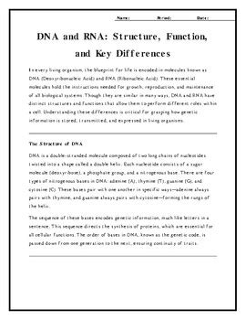 Rna Structure And Function Answer Key