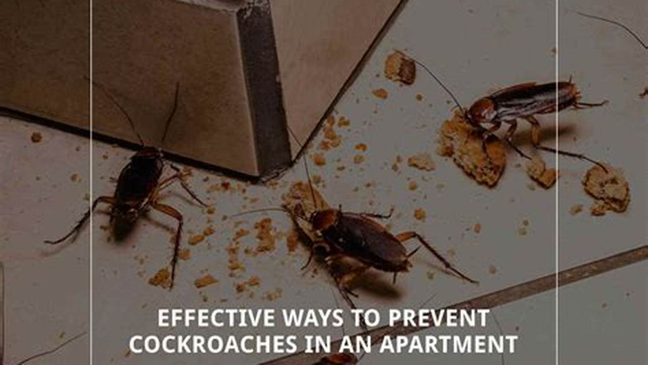 roaches in apartment law arizona Pretty Amazing Chatroom Navigateur
