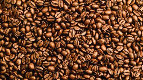 Roast Coffee Bean Medium