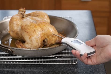 Roasted Chicken Recipe Temperature