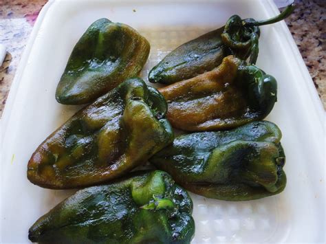 roasted pasilla chile recipes