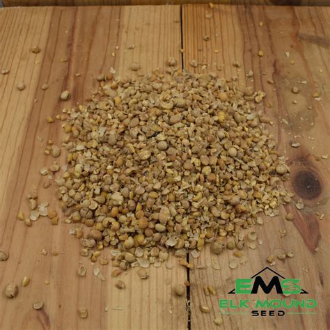 Roasted Soybeans Cattle Feed