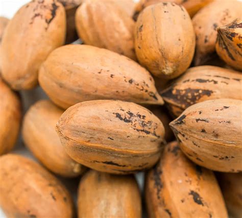 Roasting Pecans In Shell