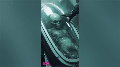 robert alien leaked