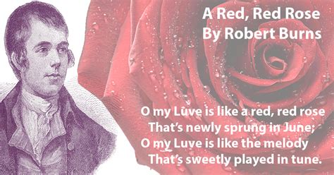 robert burns red red rose song