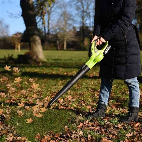 Robert Dyas Leaf Blower